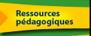 Ressources pédagogiques